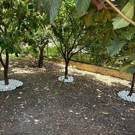 Aromi Di Sicilia Casa Vacanze Palermo Zewnętrze zdjęcie